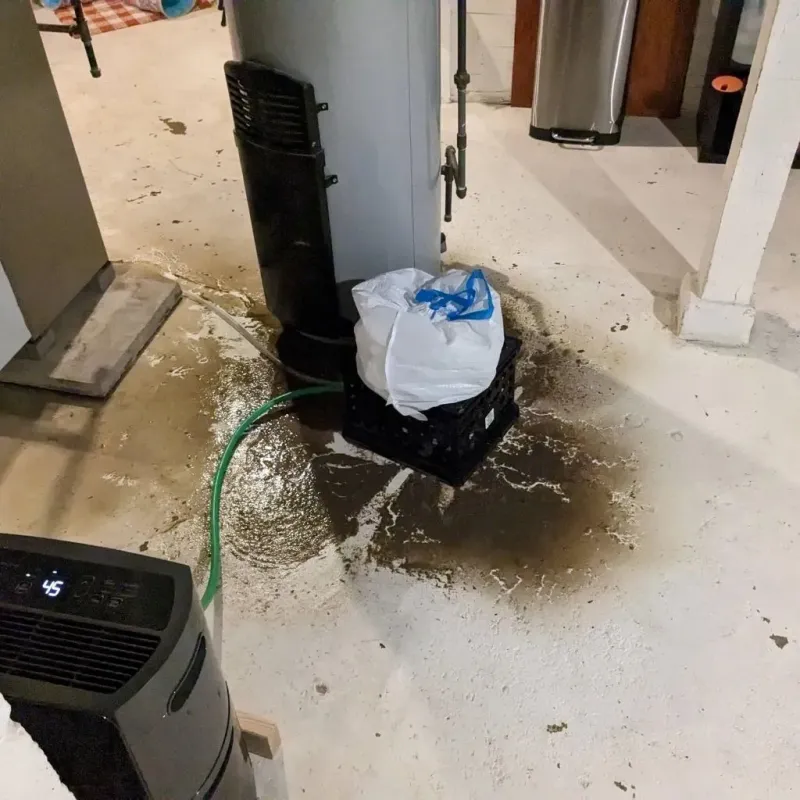 Sewage Backup Cleanup Service in Munfordville, KY
